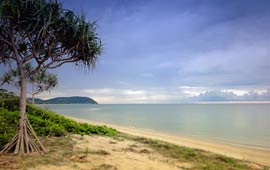 Port Douglas reef charters to Low Isles